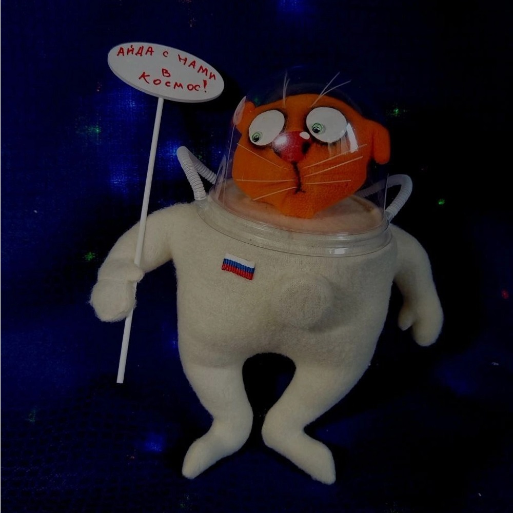 Мягкая игрушка "Ай-да с нами в космос!"